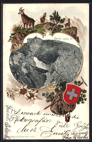 Cartoline postali: Säntis, Blick auf den Gipfel, Gämsen u – Usato da Berlin venduto da bartko-reher