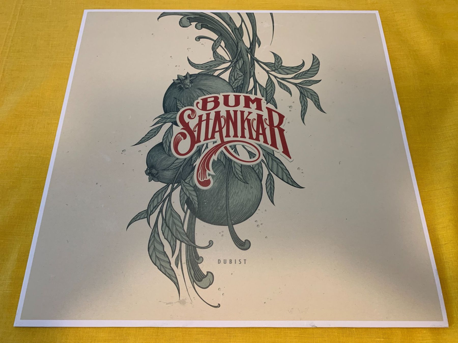 Dischi in vinile: LP BUMShankar - Dubist, 2023 – Usato da Bern venduto da sxlmn