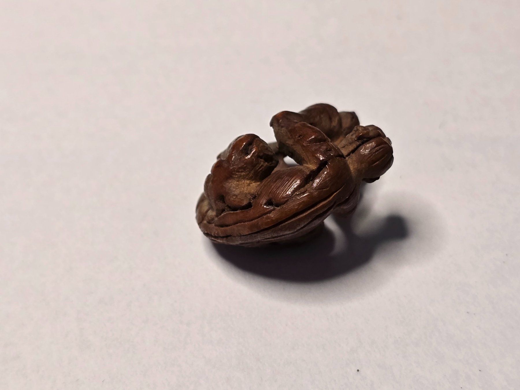 Statuette: Miniatur Affe aus Pfirsichstein, feine Schnitzerei – Usato da Hinwil venduto da Charon272000 1