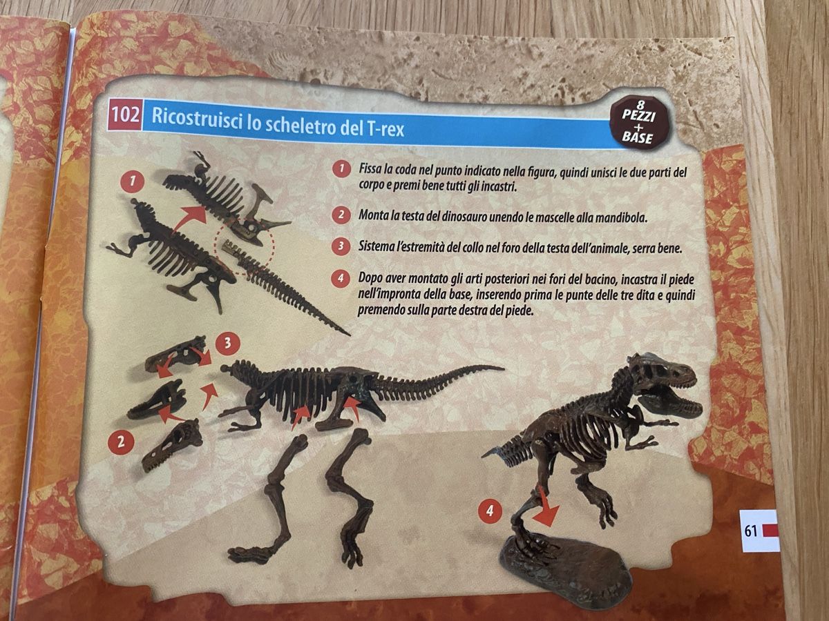 Giocattoli: Dino Ausgrabungs-Set T-Rex Skelett – Nuovo (secondo la descrizione) da Zürich venduto da mes_xgj7 1