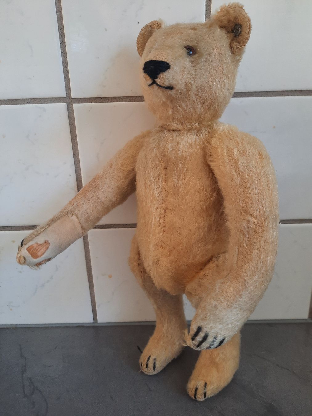 Steiff Spielzeuge: STEIFF, ancien de 1920. Avec son BOUTON – Gebraucht aus Le Locle von marylise01 1