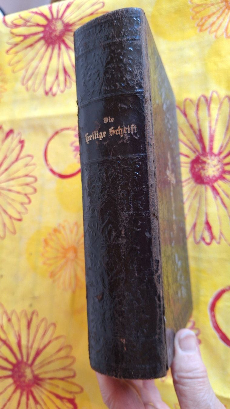 Libri: antike Luther Bibel – Usato da Dornach venduto da majo8689 5
