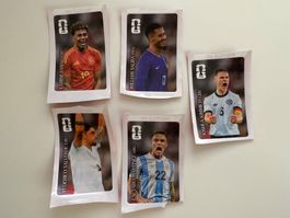 5 verschiedene Coca Cola Panini FIFA WM 2026 Sticker