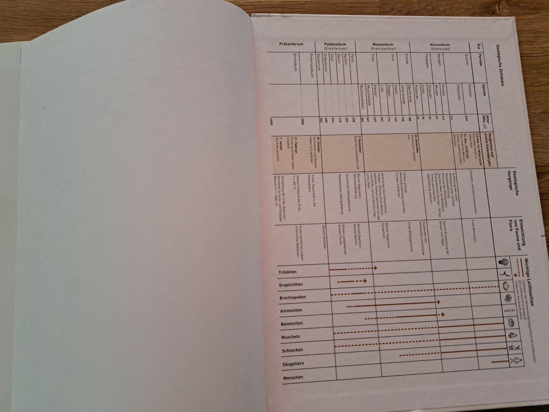 Libri: Geografie - Wissen und verstehen – Usato da Thun venduto da mo_ba 3