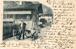 Grindelwald  BE  -  Milchkarren - Hundegespann    um 1 8 9 9