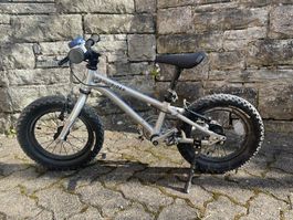 Early Rider Seeker 14 Zoll