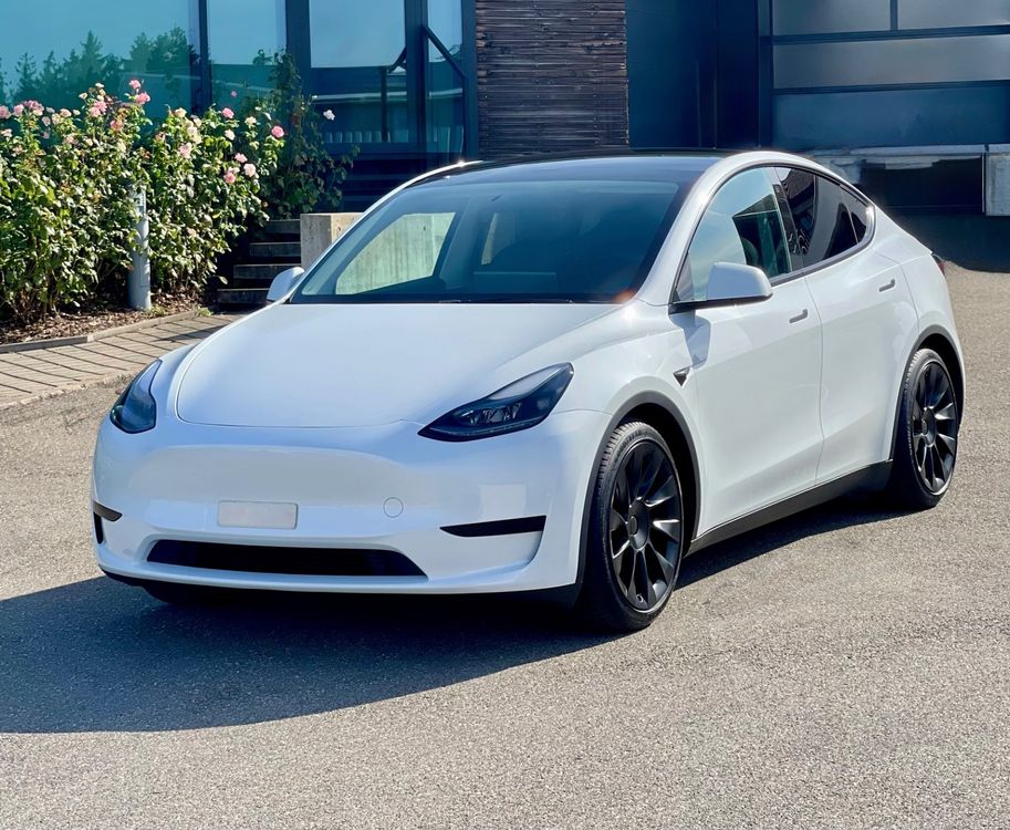 Stilvolle Model Y Kaufen Ebenbild
