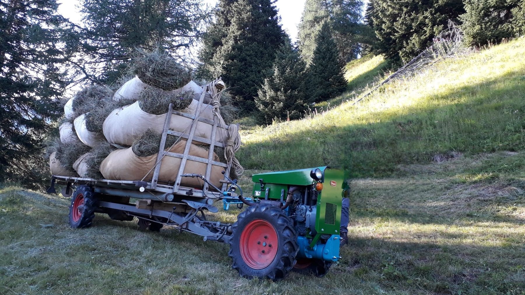 Rapid Trattori: Rapid Spezial Slanzi Dieselmotor Orginal – Usato da Tschlin venduto da jer_gf9z