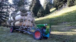 Rapid Spezial Slanzi Dieselmotor Orginal