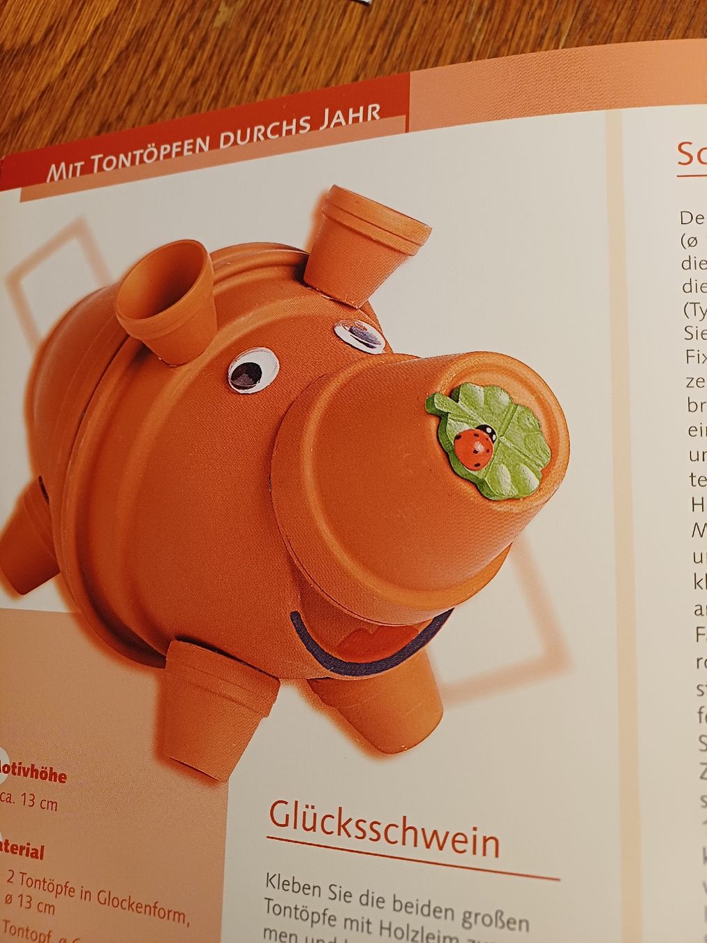 Bücher: Buch: Tontopffiguren – Neu (gemäss Beschreibung) aus Gächliwil von lesidees 3