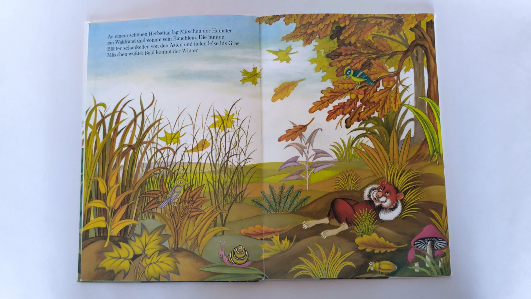 Libri: Mäxchen der Hamster /  Bilderbuch 1991 ab Fr. 8.- – Usato da Bellach venduto da JingleJerry 3