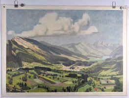 Schulwandbild Bergsturzgebiet von Goldau /#engels