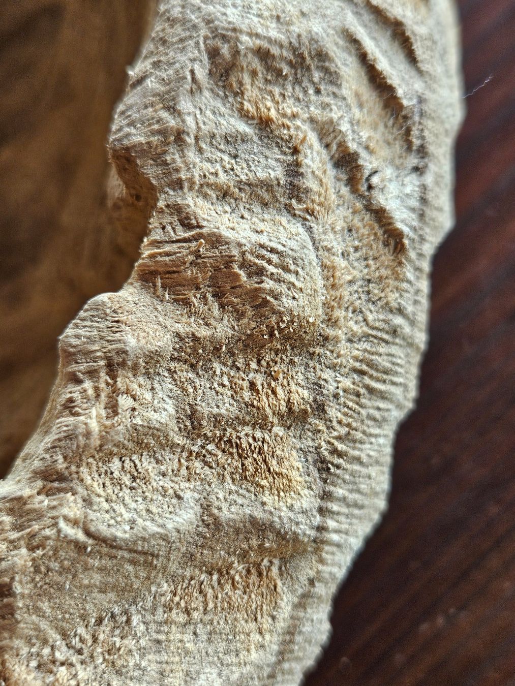 Ciotole: Holzschale in Herzform – Nuovo (secondo la descrizione) da Maseltrangen venduto da Chrusli7 4