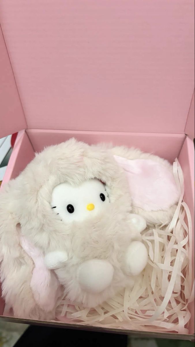 Portachiavi: Kawaii fluffy Hello Kitty bunny plush keychain for winter ba – Nuovo e nell'imballaggio originale da Chur venduto da Madeys 1