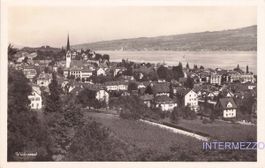 Wädenswil ZH // 1937 Dorf Teilansicht Zürichsee // Sommer