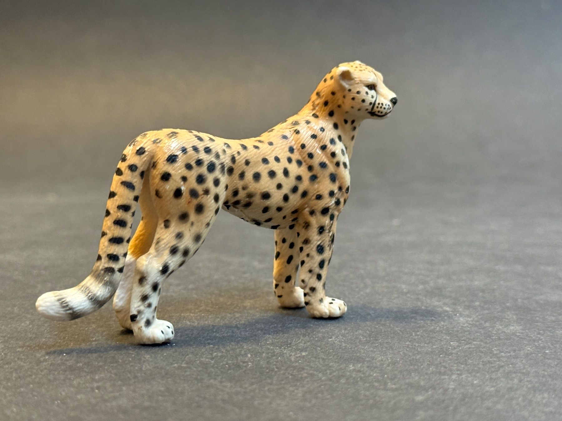 Schleich Figurines: Schleich Gepard 14143 – D'occasion à Ennetbaden par mapa05 4