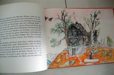 Bücher: Birnbaum, Birke, Berberitze – Gebraucht aus Wetzikon ZH von strubeli024 1