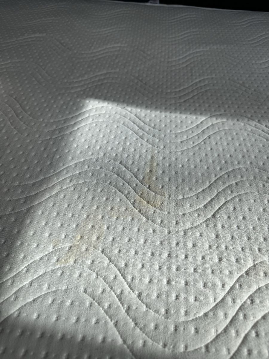Letti: Boxspringbett 160 x 200 cm – Usato da Bern venduto da CheetahPaw 4