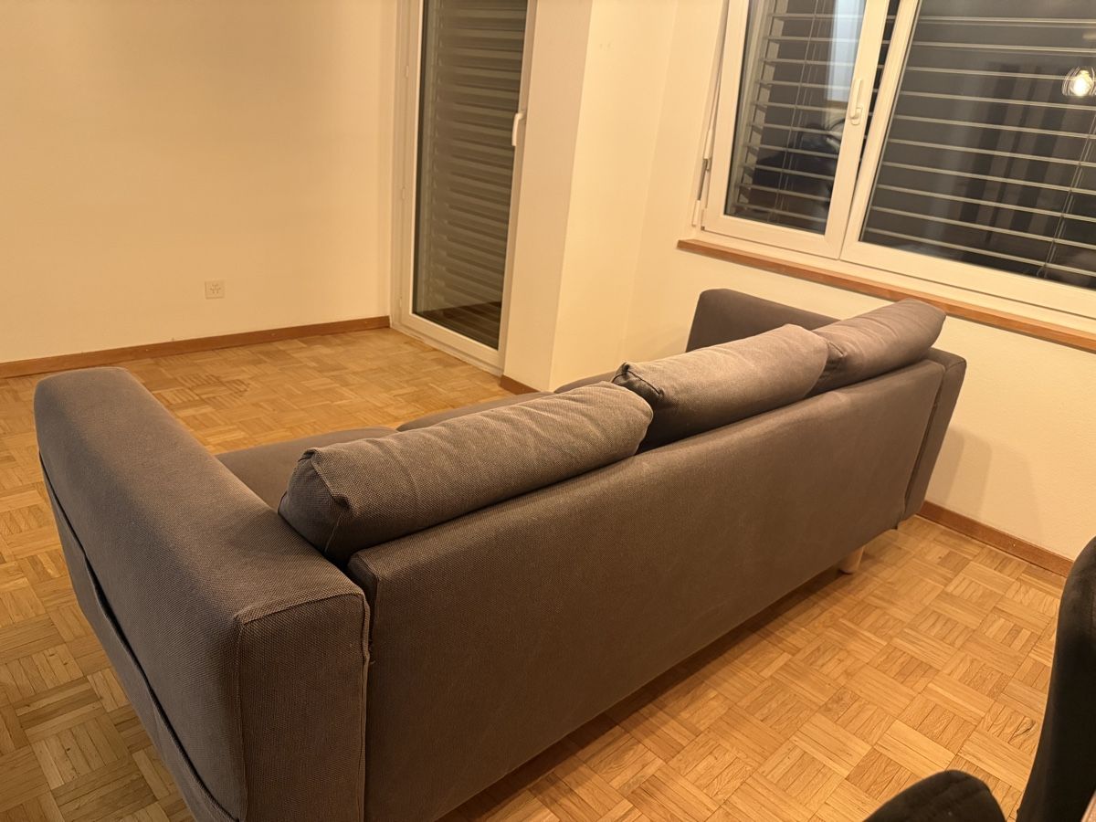 Divani: 3-Sitzer Sofa grau mit Holzfüssen – Usato da Niederuzwil venduto da ced_9ylp 2