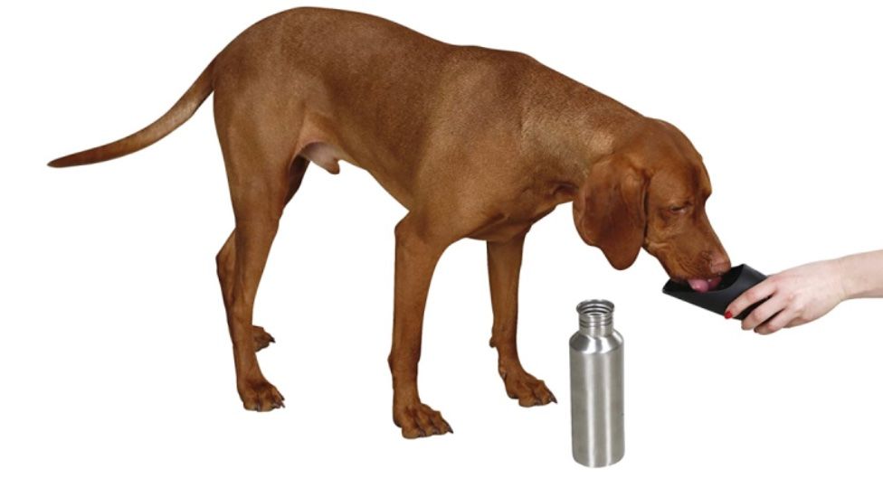 Borracce & Thermos: KERBL Hunde-Reise-Trinkflaschen – Nuovo e nell'imballaggio originale da Erlinsbach venduto da Yesil88
