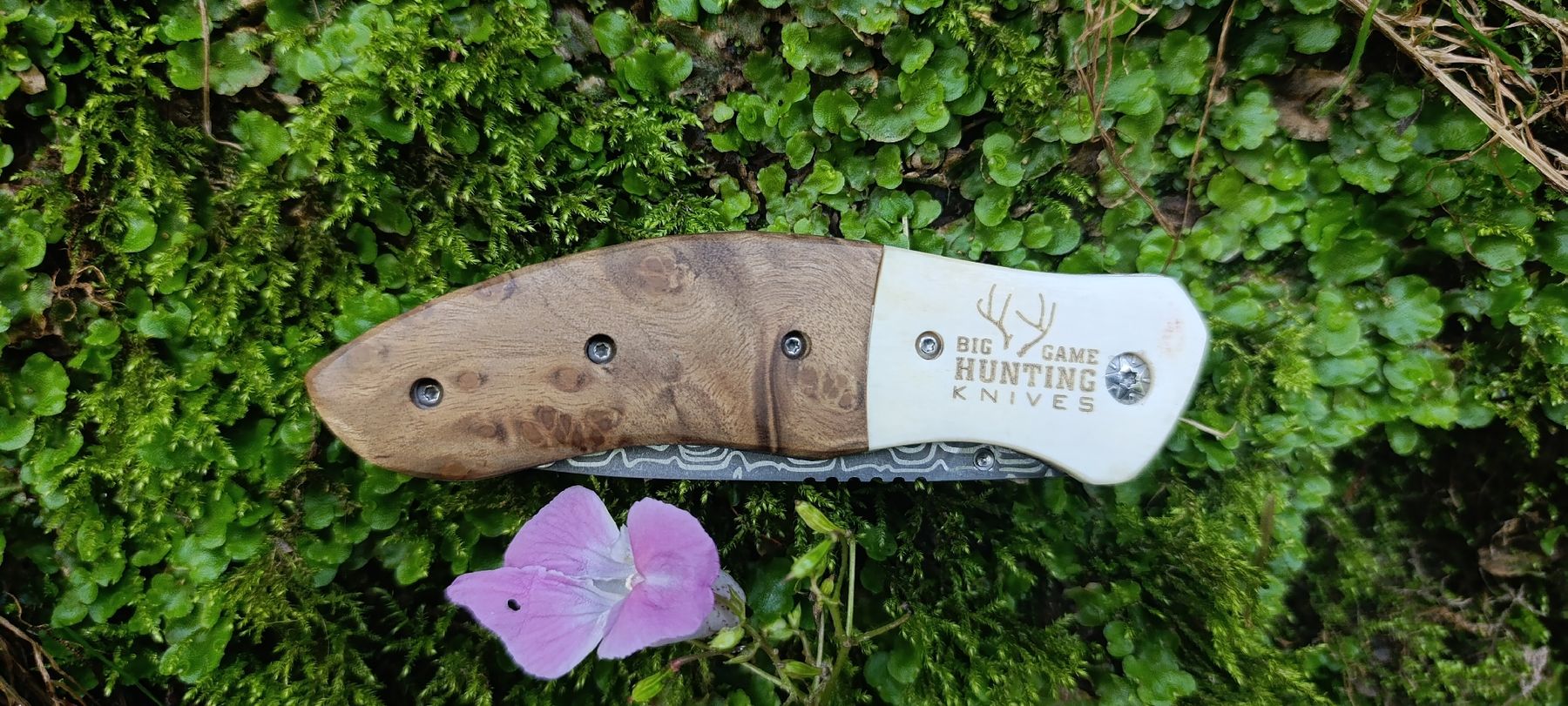 Taschenmesser: American Mint Taschenmesser  – Gebraucht aus Oppligen von can_rf8g 6