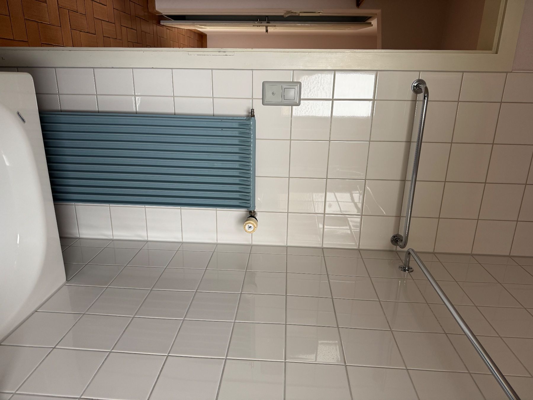 Radiatori: Radiator hellblau – Usato da Grossaffoltern venduto da ste_jth8 3
