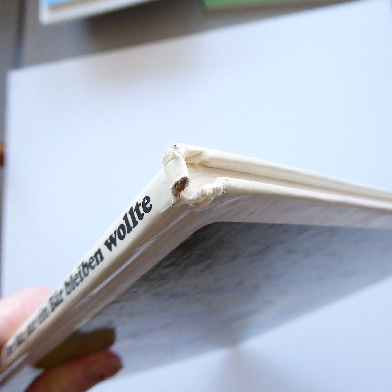Libri: Der Bär, der ein Bär bleiben wollte – Usato da Basel venduto da Kunterbunt12 2