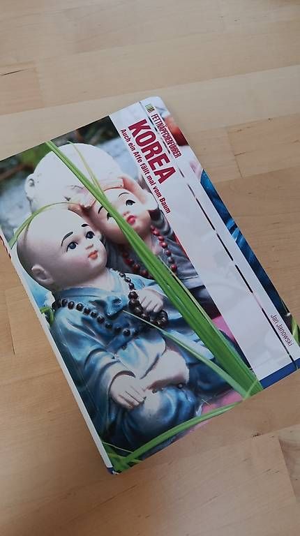 Livres: Fettnäpfchenführer Korea – D'occasion à Olten par J.Gr