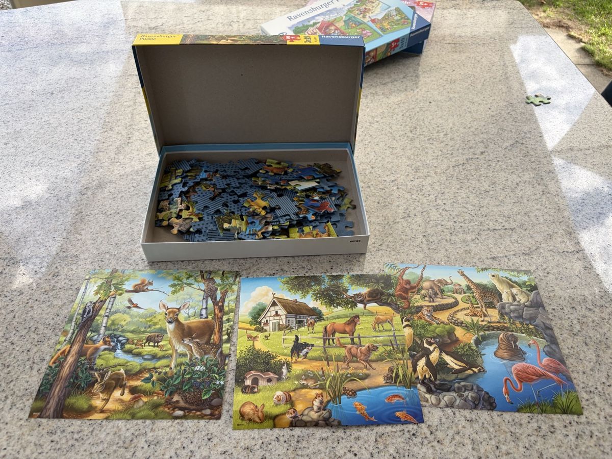 Ravensburger Puzzles: Ravensburger Puzzle 3x49 Teile – Gebraucht aus Uster von steursk 1