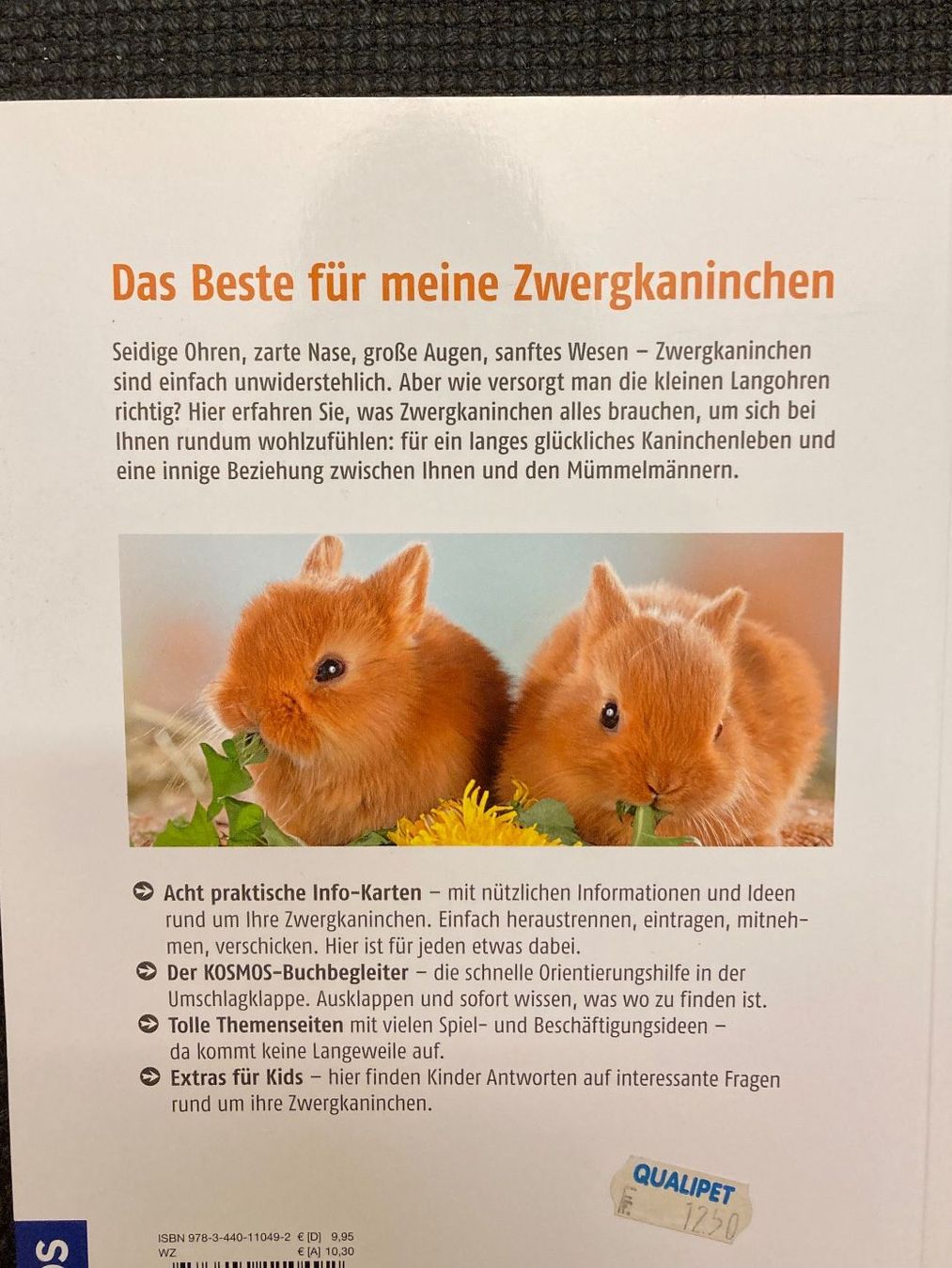 Bücher: Meine Zwergkaninchen – Gebraucht aus Baden von Yoyo1 1