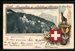 Passepartout-Lithographie Seelisberg, Te