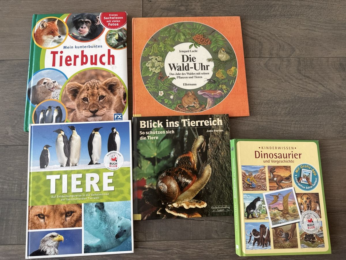 Libri: Tiere, Dinosaurier, Wald, Schnecke – Usato da Wangen SZ venduto da Chafler78