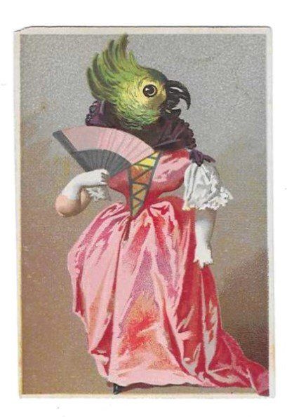 Cartoline postali: Carte - Chromo – Usato da Genève venduto da edelweiss1900