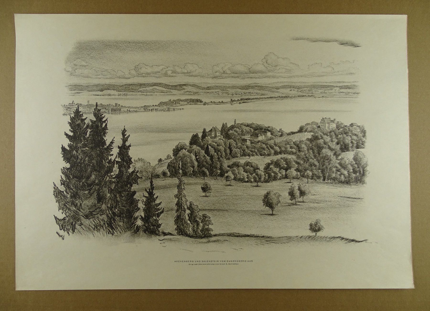 Grafica & Litografie: ARENENBERG, LITHO VON E.E. SCHLATTER – Usato da Grüningen venduto da Kartensammler 1