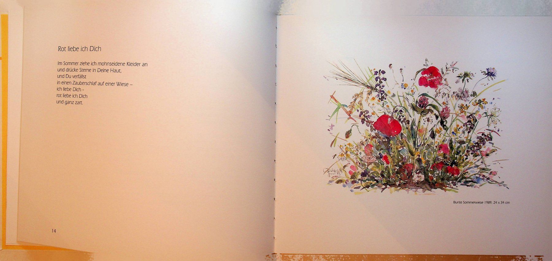 Livres: G. Munz , S. Buderath Blumen am Weg – D'occasion à Reitnau par Zaomir 4