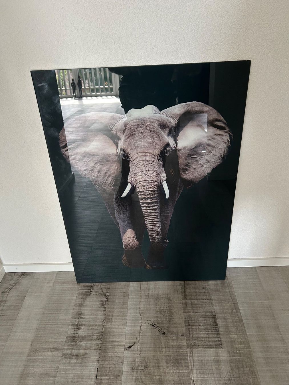 Foto & Immagini: Afrika Glasbild gross – Usato da Wängi venduto da Argon180 1