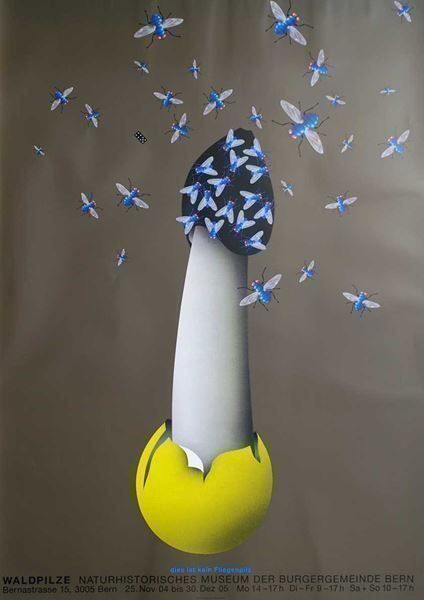 Foto & Immagini: Claude Kuhn, Waldpilze – Nuovo (secondo la descrizione) da Bern venduto da Vintage-Art-Poster