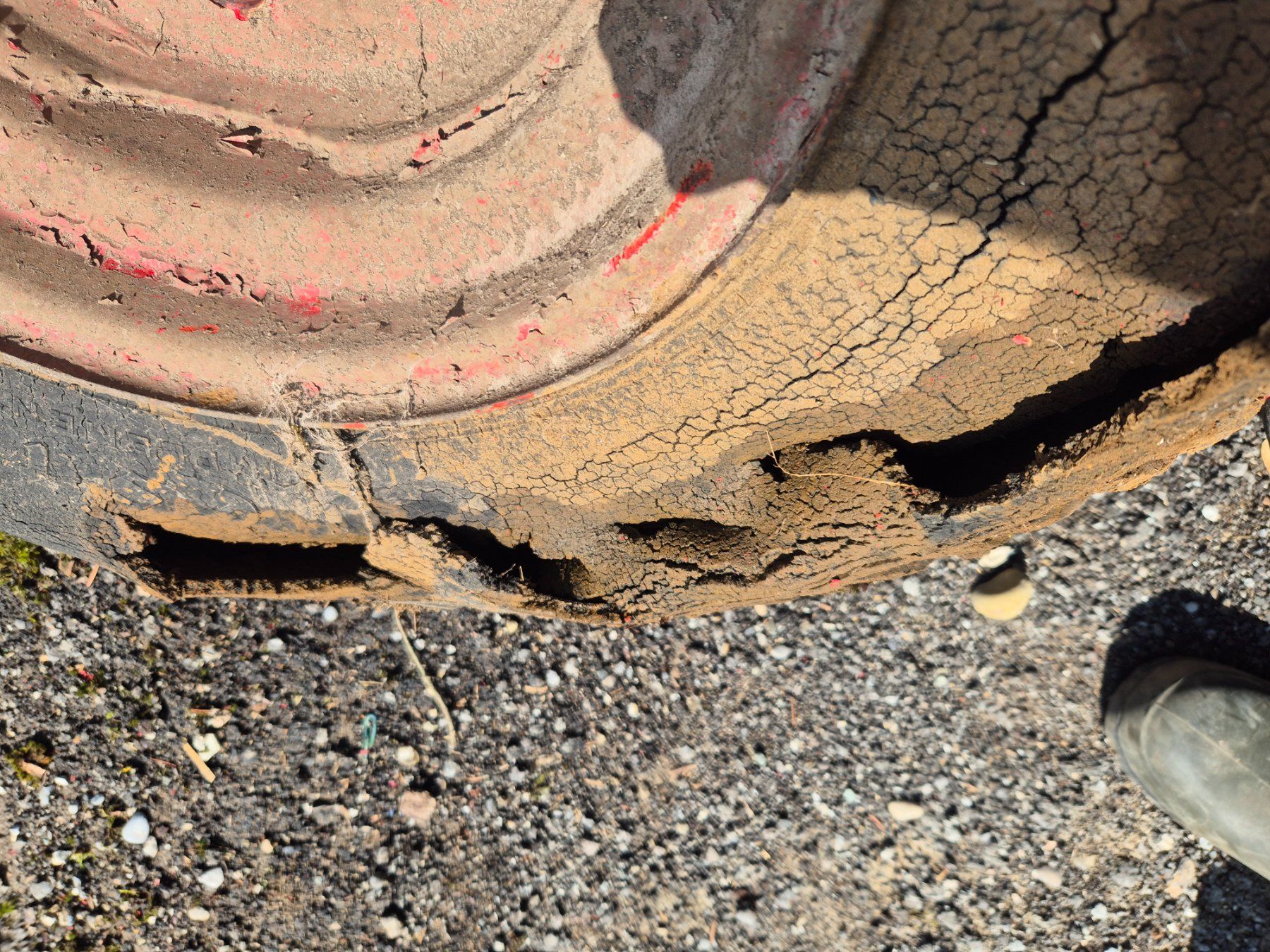 Firestone Pneus & Kompletträder: Rad zu Landw. Anhänger – Gebraucht aus Stein AR von Bienli4 7