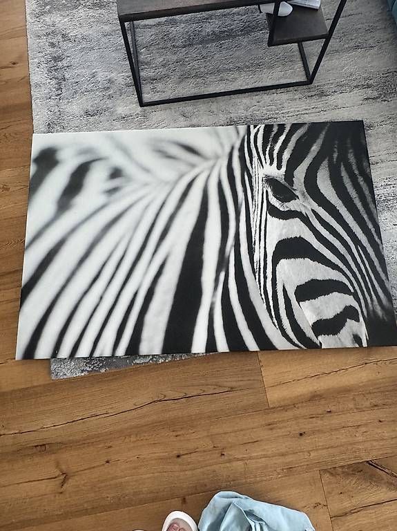 Foto & Immagini: Bild Zebra – Usato da Weiach venduto da cor_2sss