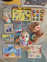 Kinderspielzeug Set: Fisher Price,V-Tech,Holzspielzeuge
