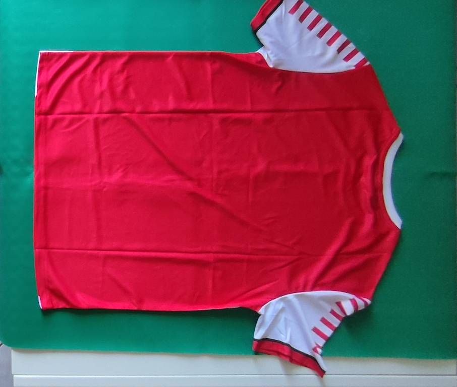 Canottiere & Pantaloni: Maglia da calcio Nazionale Danimarca  – Usato da Coldrerio venduto da diveklo 1