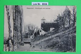 CH Ansichtskarte Rapperswil (SG) um 1900            Los 6936