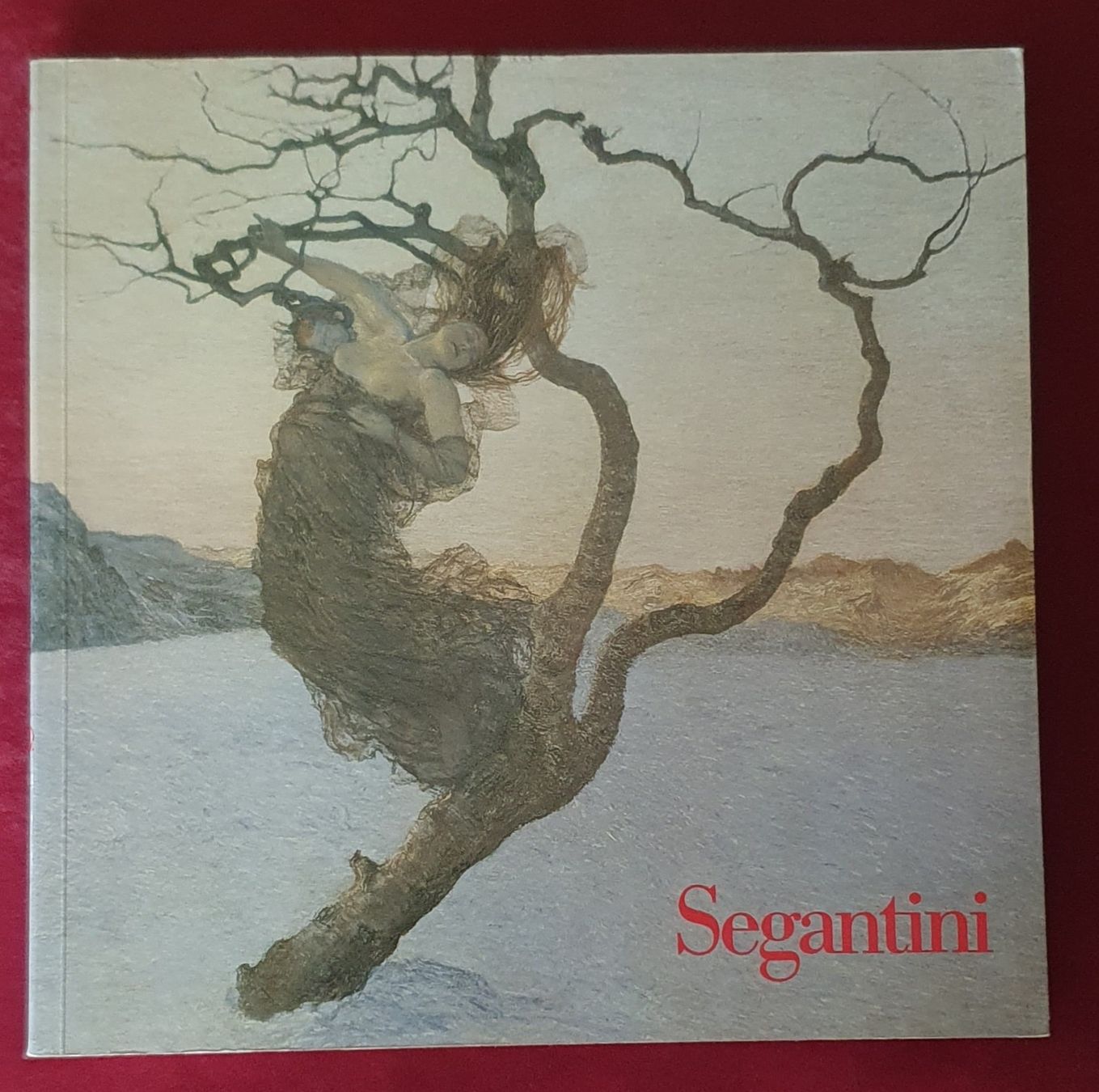 Libri: Buch - Giovanni Segantini – Usato da Kreuzlingen venduto da Rschweiz1