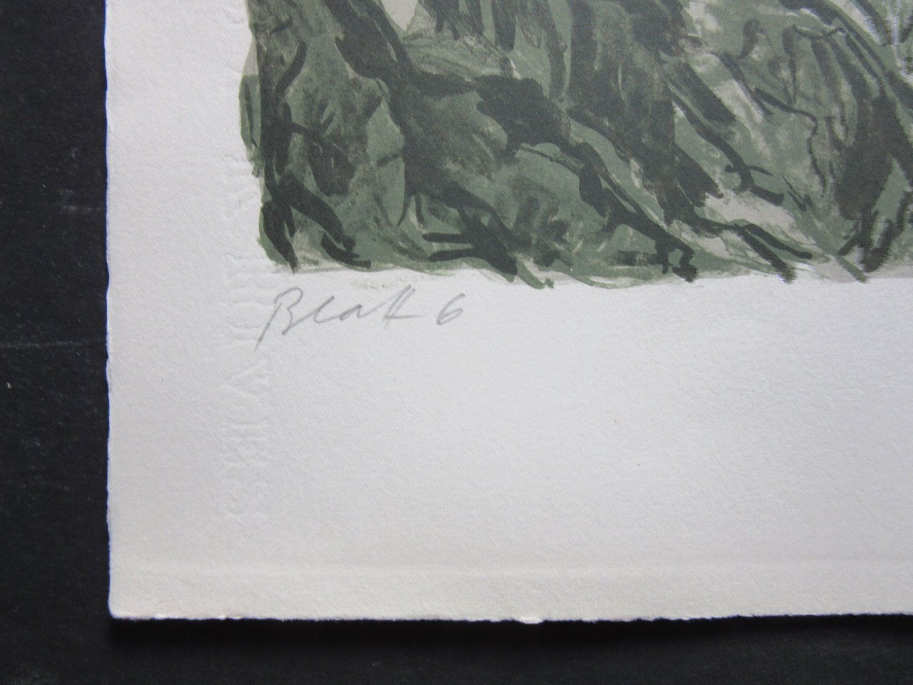 Grafica & Litografie: Diggelmann Alex Walter  LITHOGRAPHIE SIGNIERT – Usato da Gersau venduto da grafik-kunst 3