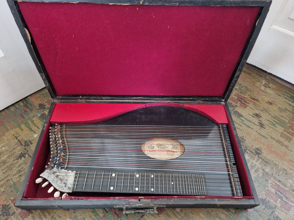 Zither Kaufen auf Ricardo