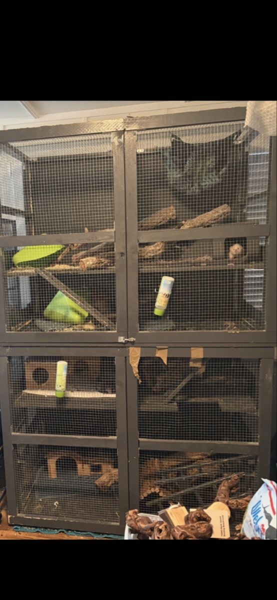 Cages, transport & sécurité: holzkäfig zu vergeben – D'occasion à uznach par Idefix029