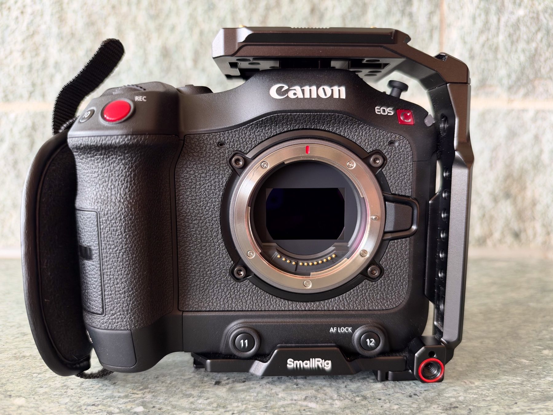 Canon Videocamere: Canon EOS C70 Cinema Kamera mit SmallRig Cage – Usato da Davos Platz venduto da Primate_68 1