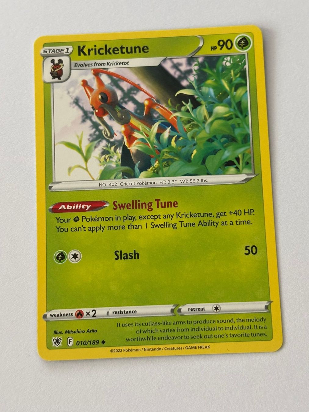 Pokémon Carte collezionabili: Pokemon-Karte Kricketune 010/189 – Usato da Herisau venduto da Seyashop1