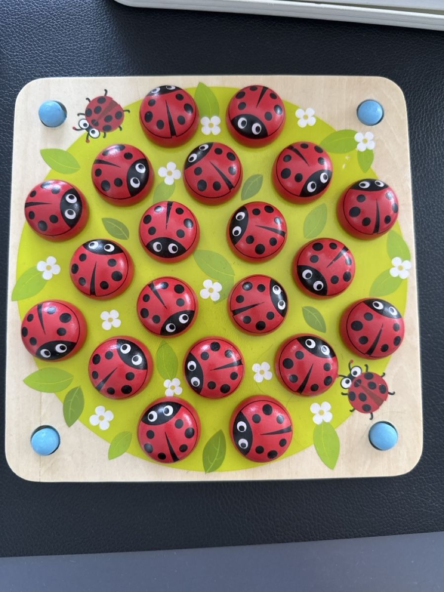 Spiele: Holz Marienkäfer-Memory – Neu (gemäss Beschreibung) aus Kölliken von Nando_Nando