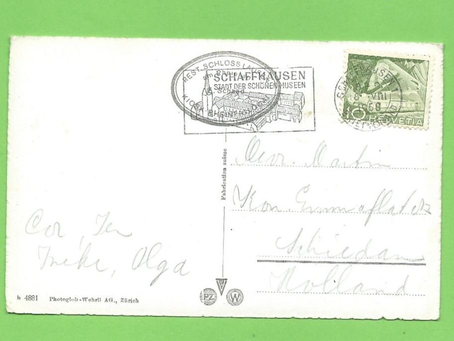 Cartoline postali: Rheinfall mit Fischetz – Usato da Zürich venduto da t24_de 1